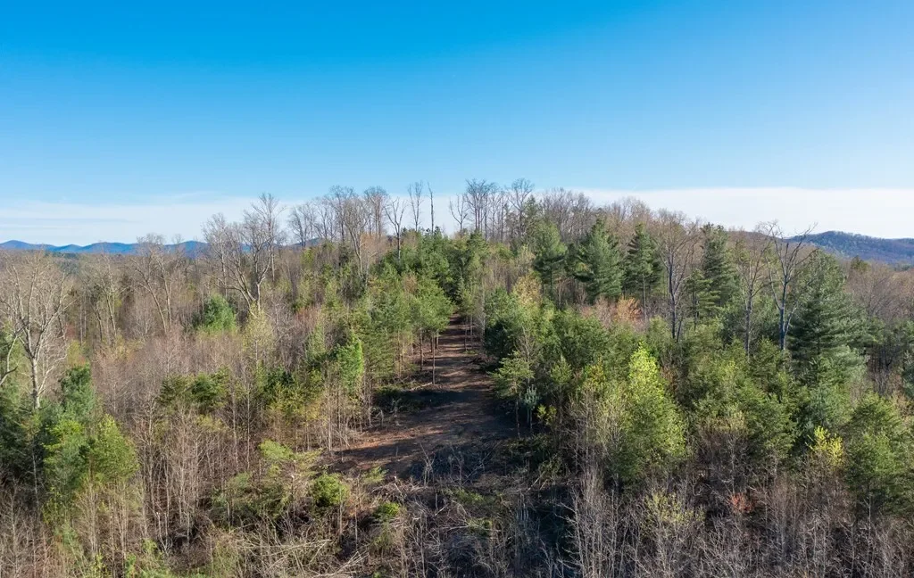 41AC Loving Road, Blairsville, Georgia, United States. - Photo 15