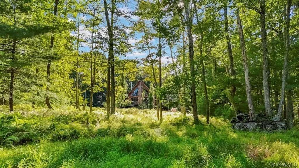 47 Australia Road, Glen Spey, NY 12737, Glen Spey, New York, United States. - Photo 27
