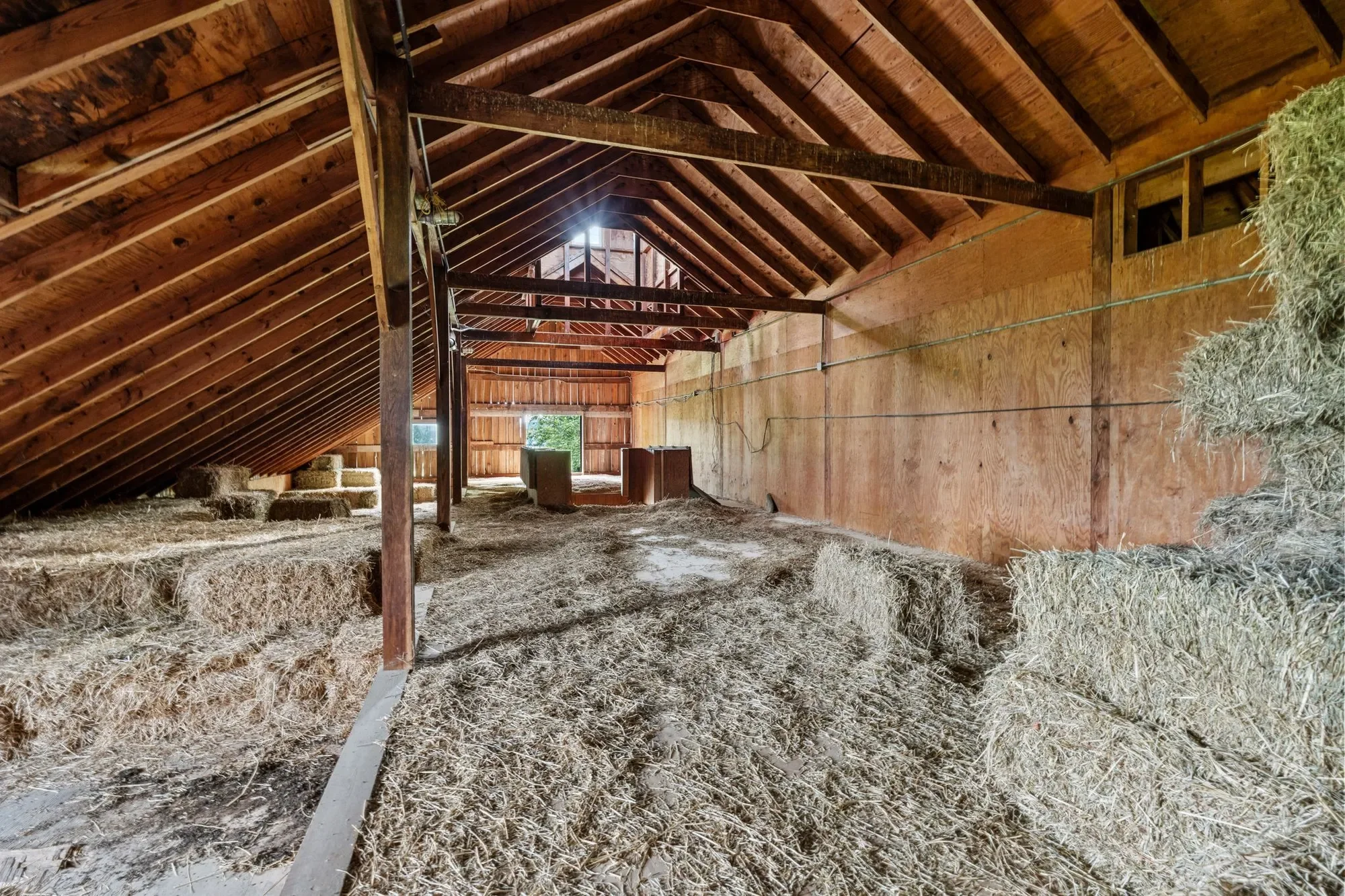 3899 Georgetown Road, Lexington, KY 40511, Lexington, Kentucky, United States. - Photo 24