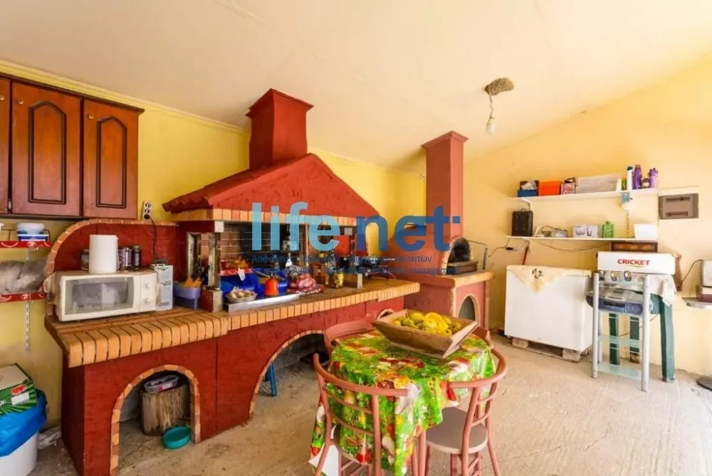 Gallery photo 11