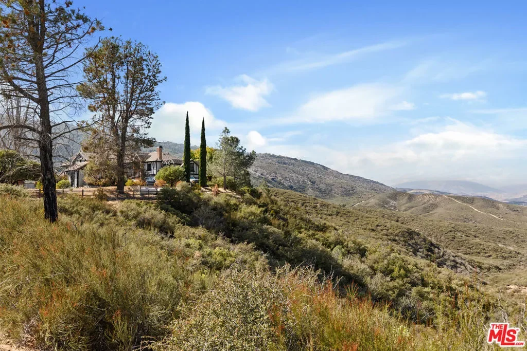 28765 Pine Canyon Road, Lake Hughes, California, United States. - Photo 39