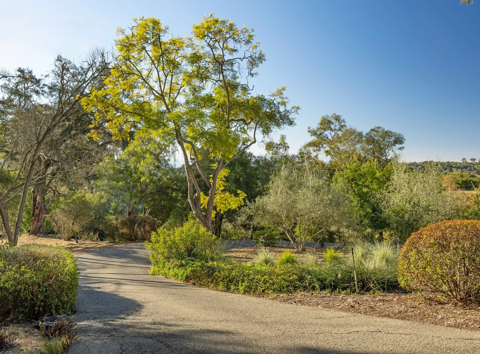 1030/1010 E Mountain Drive, Montecito, California, United States. - Photo 5