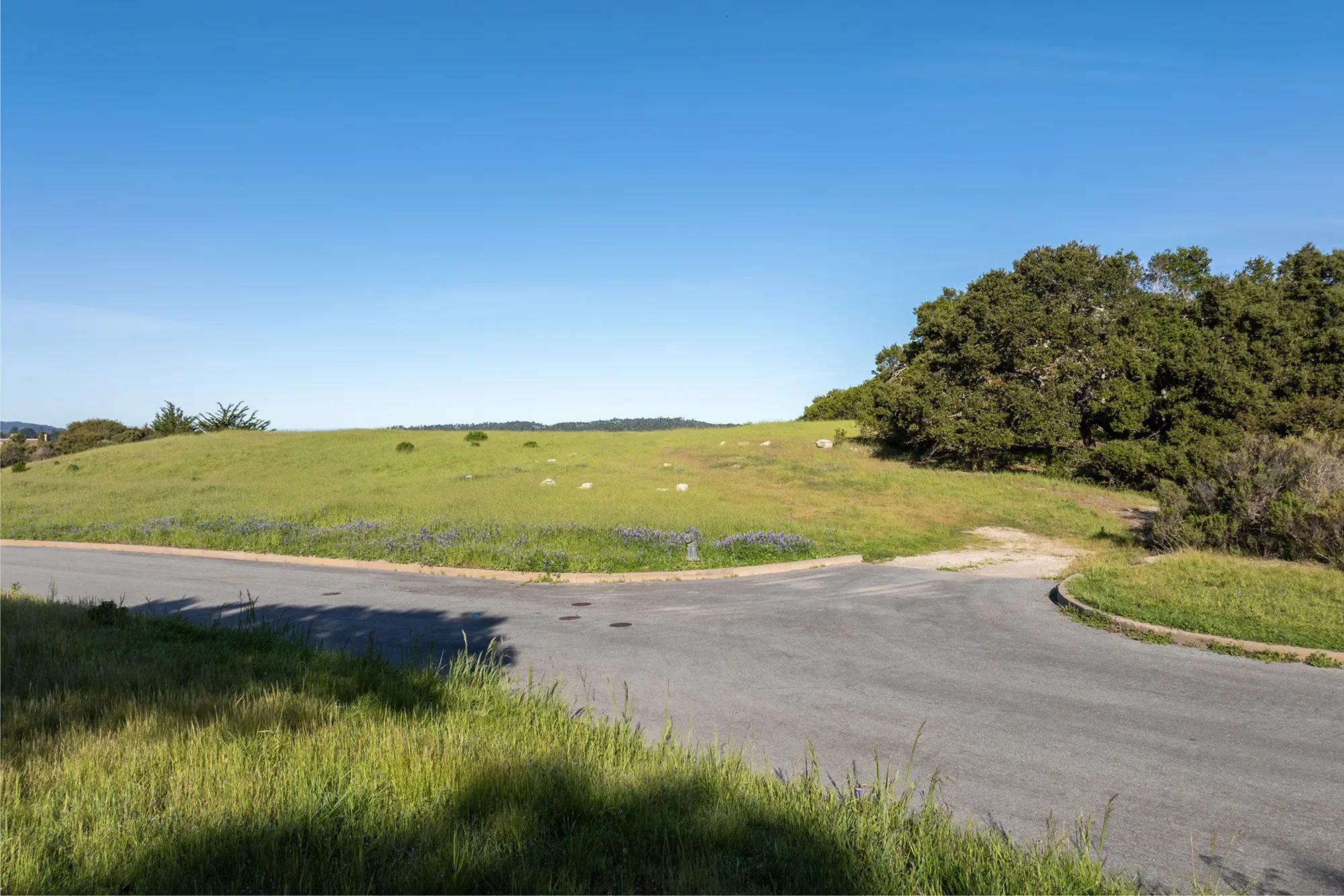 25825 Via Malpaso (Lot 68), Carmel, CA 93923, Carmel-by-the-Sea, California, United States. - Photo 2