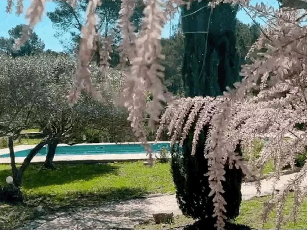 Pignans, Provence-Alpes-Côte d'Azur, France. - Photo 6