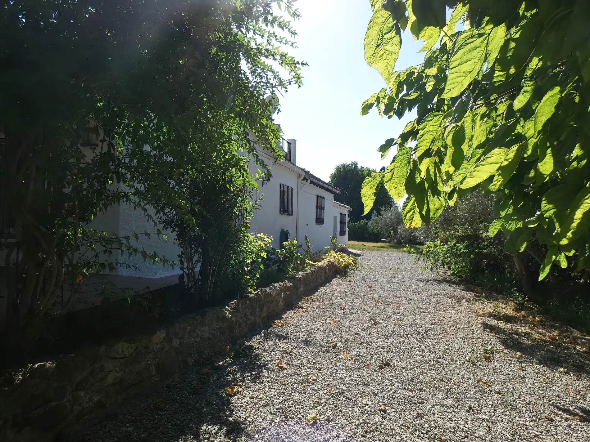 Exterior photo 8