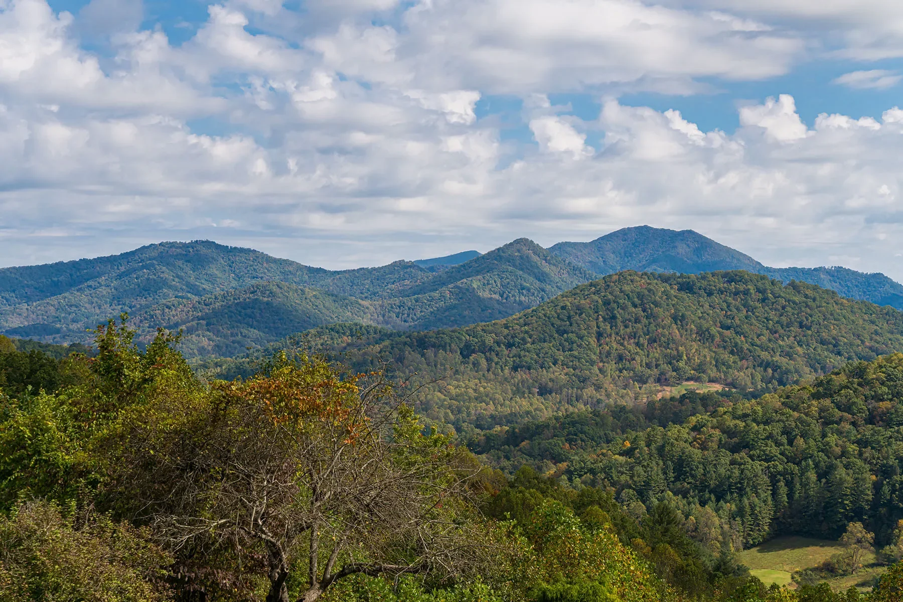 156 Jubilee Way, Waynesville, NC 28785, Waynesville, North Carolina, United States. - Photo 25
