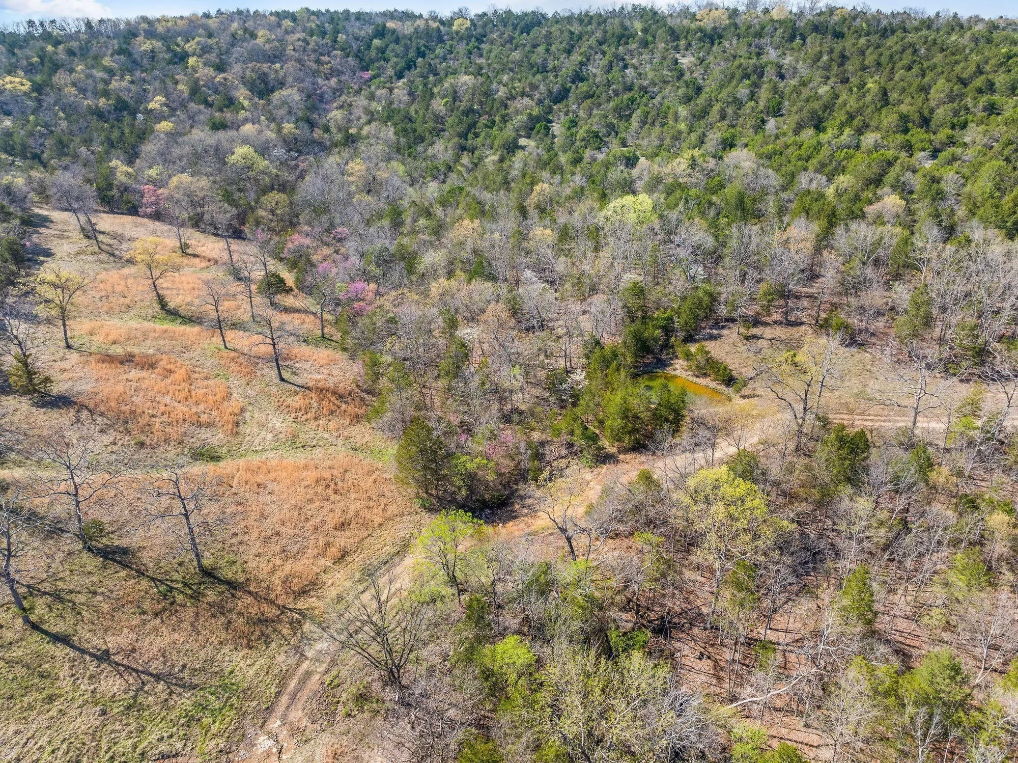 000 Tbd State Hwy J, Kirbyville, MO 65679, Kirbyville, Missouri, United States. - Photo 22