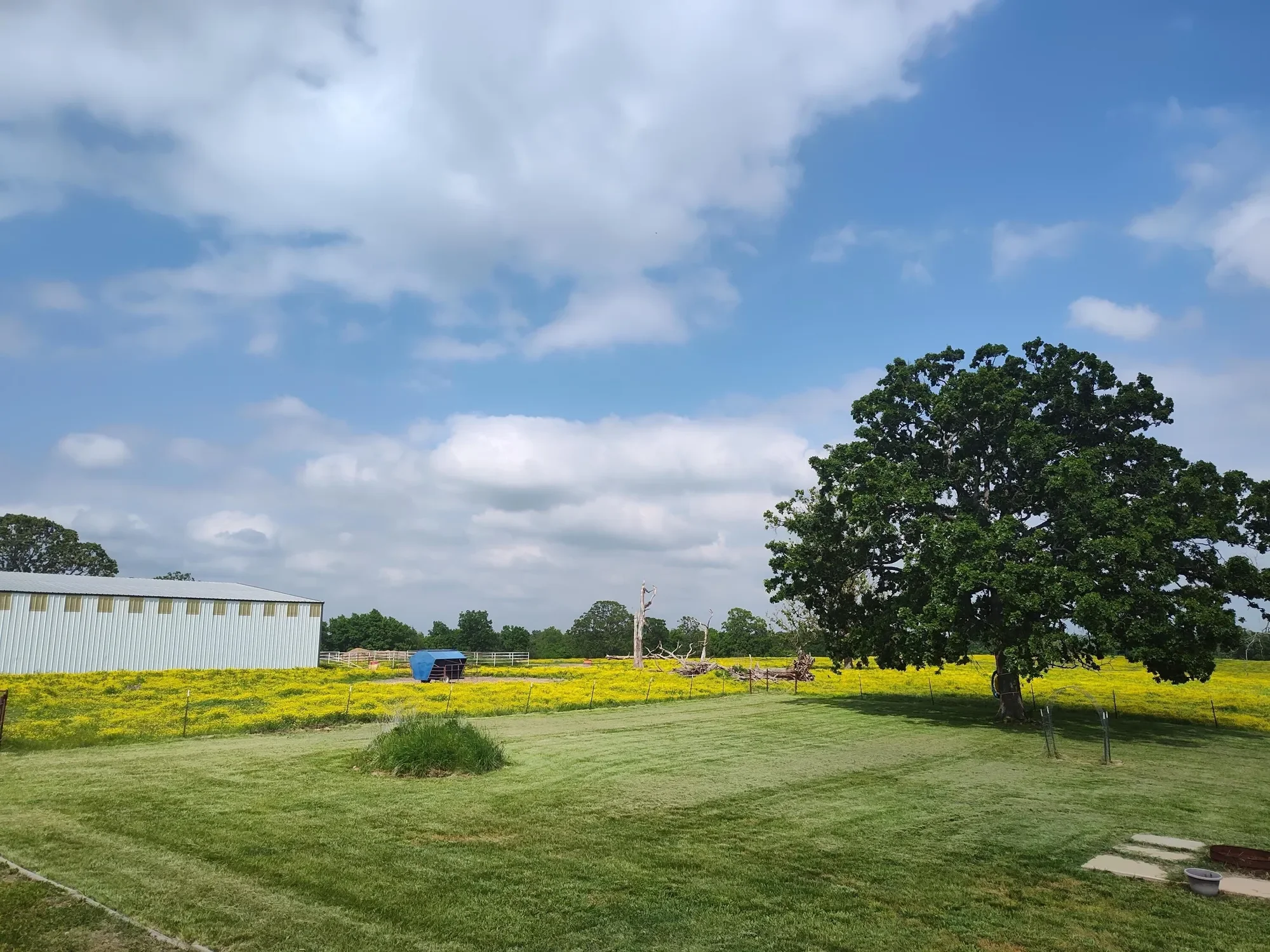 1898 E 332nd Road, Polk, MO 65727, Bolivar, Missouri, United States. - Photo 30