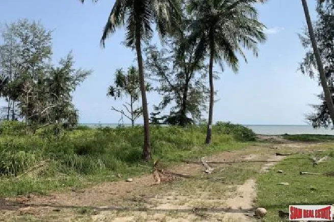 Surat Thani,, Koh Samui, Surat Thani, Thailand. - Photo 3