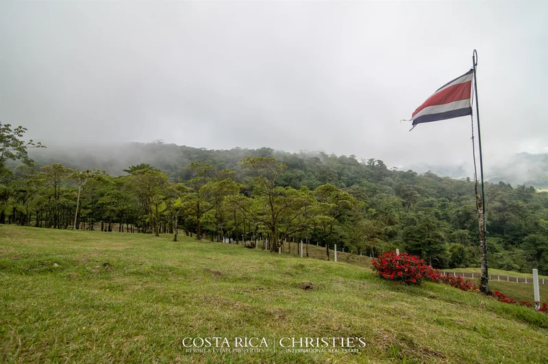 Toro Amarillo, Bajos del Toro, Alajuela Province, Costa Rica. - Photo 7