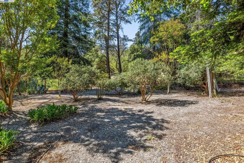 3296 Walnut Ln, Lafayette, California, United States. - Photo 44