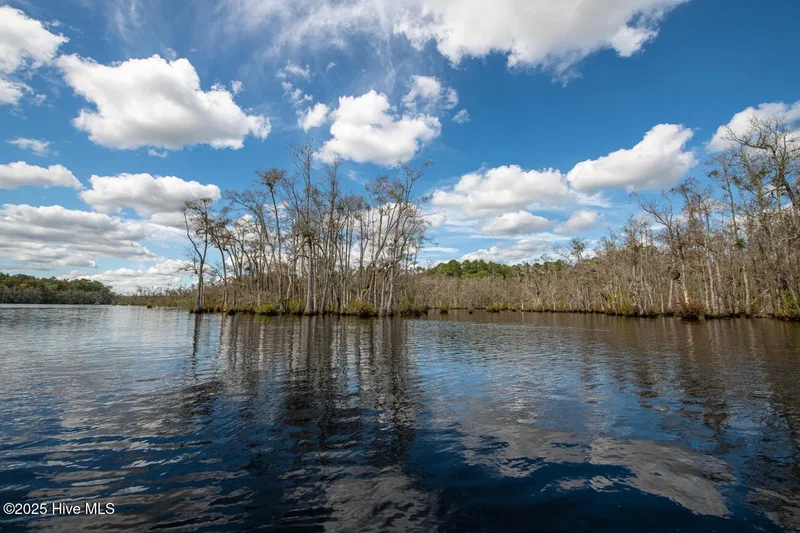 709 Everetts Mill Road, Rockingham, North Carolina, United States. - Photo 81