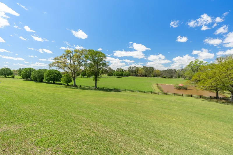 221 John Ray Lane , Eastaboga, AL 36260, Eastaboga, Alabama, United States. - Photo 82
