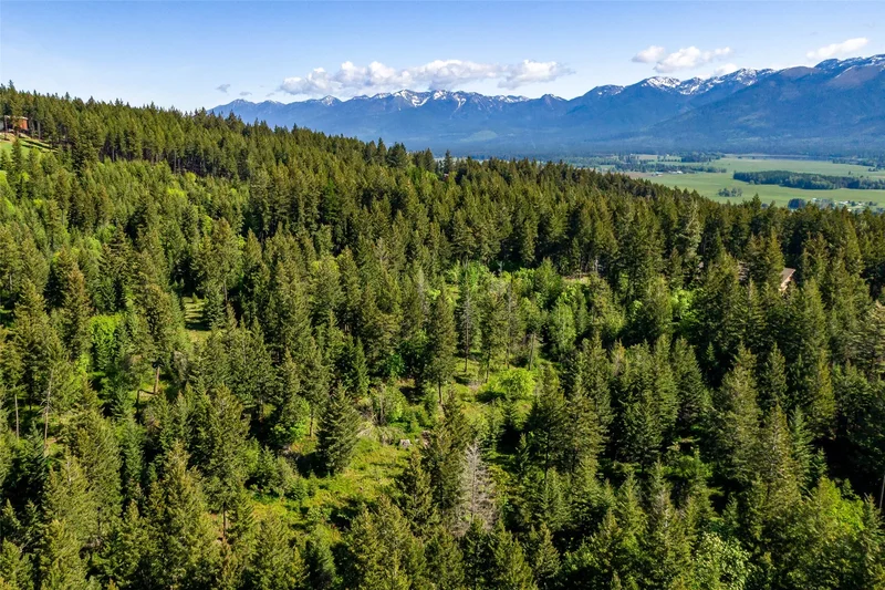 25 Starview Drive, Bigfork, MT 59911, Bigfork, Montana, United States. - Photo 5