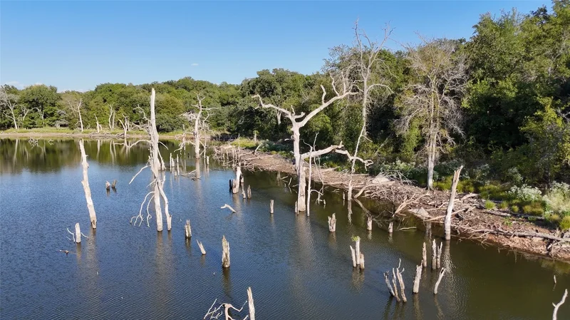2401B Hwy 679, Gorman, TX 76454, De Leon, Texas, United States. - Photo 10