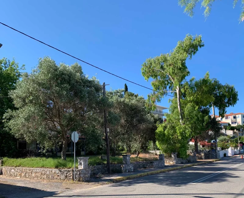 Excellent seaside plot for sale in Mikri Mantineia, Messinia