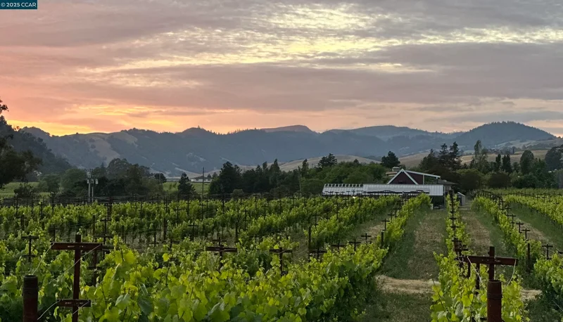 5267 Old Sonoma Rd, Napa, California, United States. - Photo 11