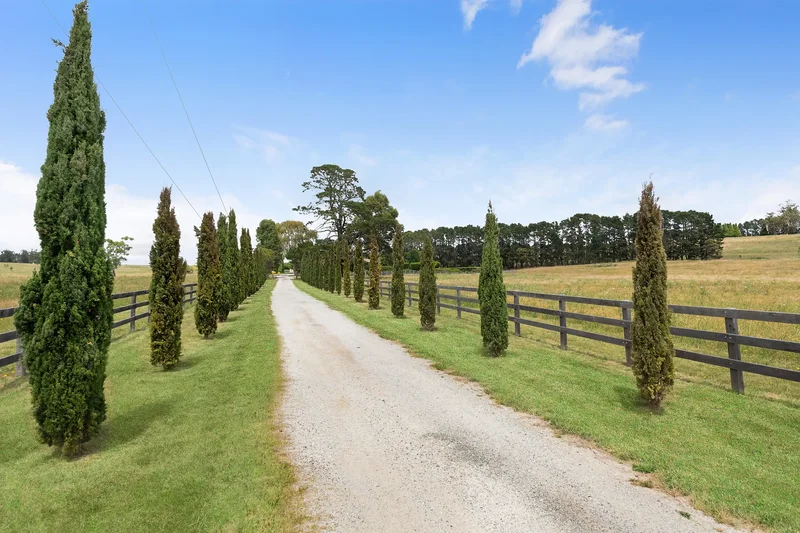 2970 Canyonleigh Rd, Sutton Forest NSW 2577, Australia, Sutton Forest, New South Wales, Australia. - Photo 18