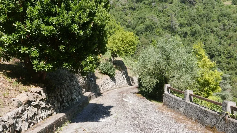 Dolceacqua, Liguria, Italy. - Photo 7