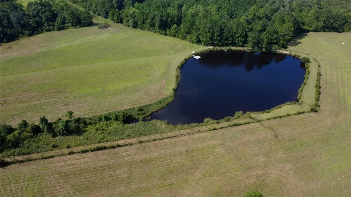 91 Cane Circle, Nahunta, GA 31553, Nahunta, Georgia, United States. - Photo 54