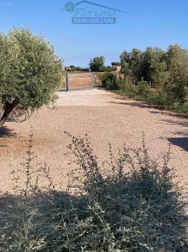 Strada Tavolaro, Montalto di Castro, Lazio, Italy. - Photo 45