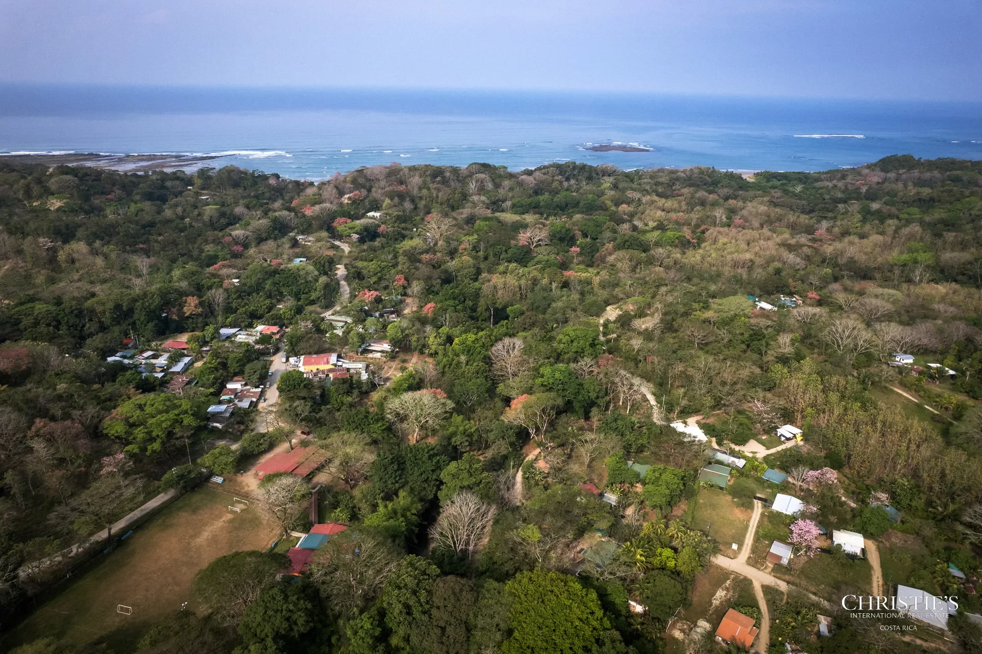 Manzanillo Beach, Manzanillo, Puntarenas Province, Costa Rica. - Photo 18