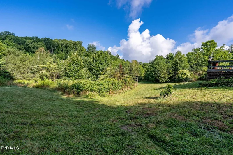 306 Bear Branch Rd, Roan Mountain, TN 37687, Roan Mountain, Tennessee, United States. - Photo 36