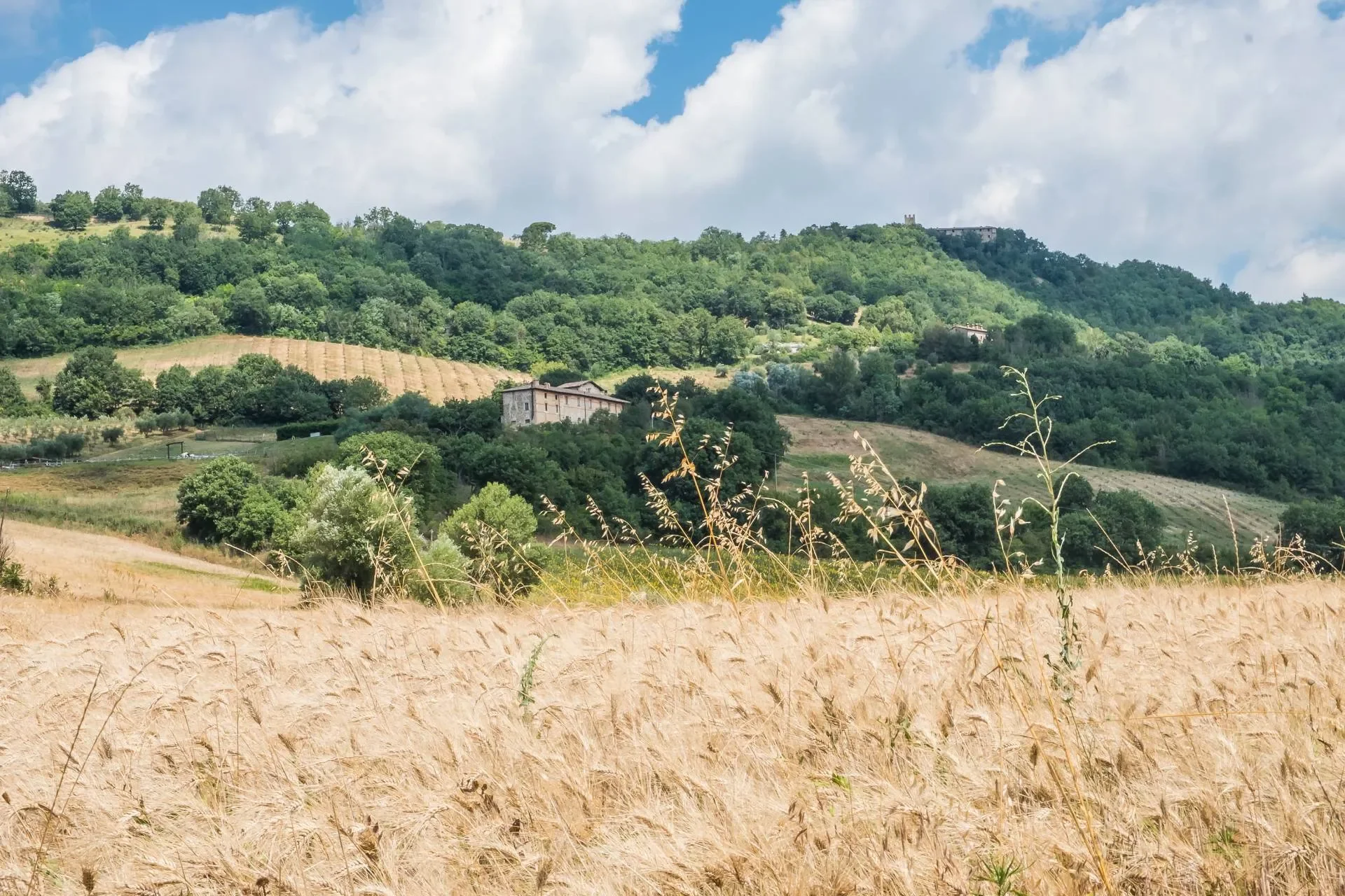 Località Serra Partucci, Umbertide, PG 06019, Umbria, Italy. - Photo 24