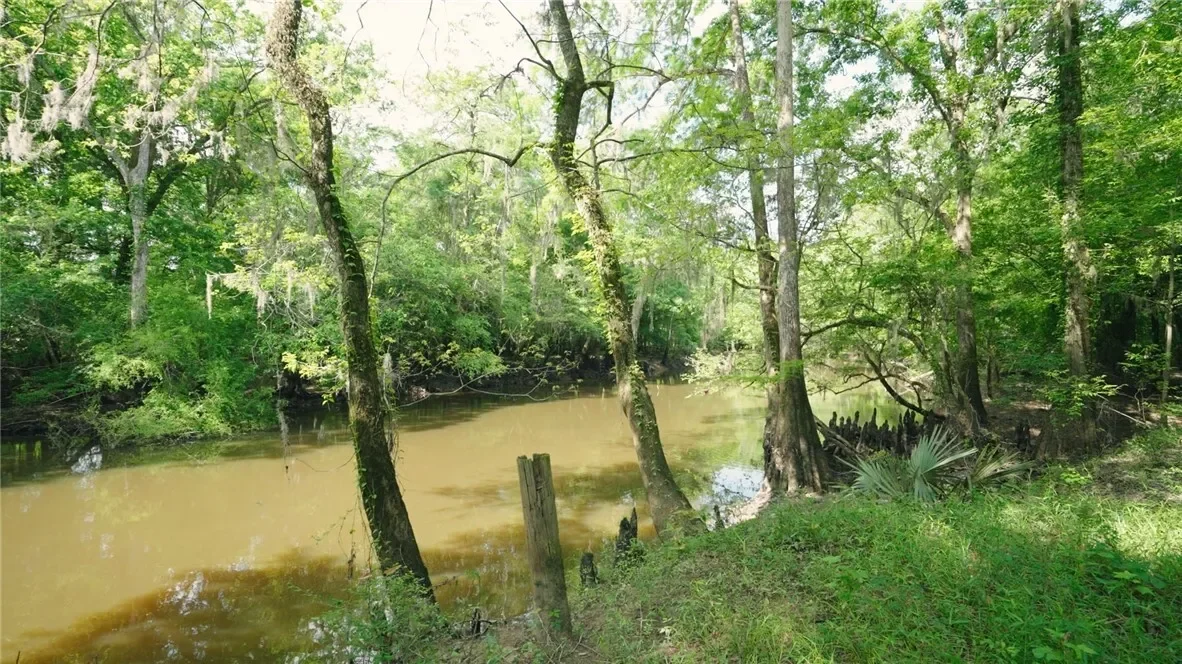 0 East River Road, Other, GA 31544, Jacksonville, Georgia, United States. - Photo 2