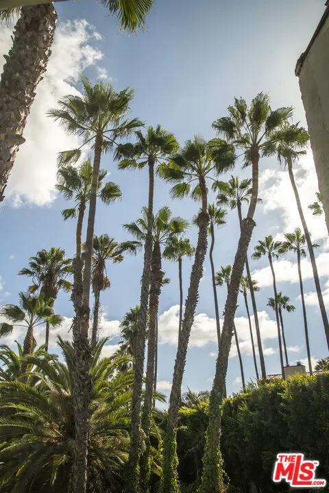 6749 Whitley Terrace, Los Angeles, California, United States. - Photo 34