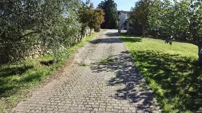 Thumbnail 24