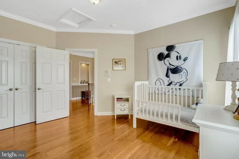 47788 SAULTY DR DRIVE, STERLING, VA 20165, Potomac Falls, Virginia, United States. - Photo 33