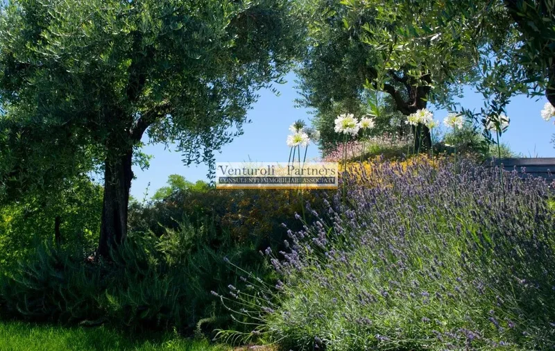strada provinciale 25, Padenghe sul Garda, Lombardy, Italy. - Photo 45