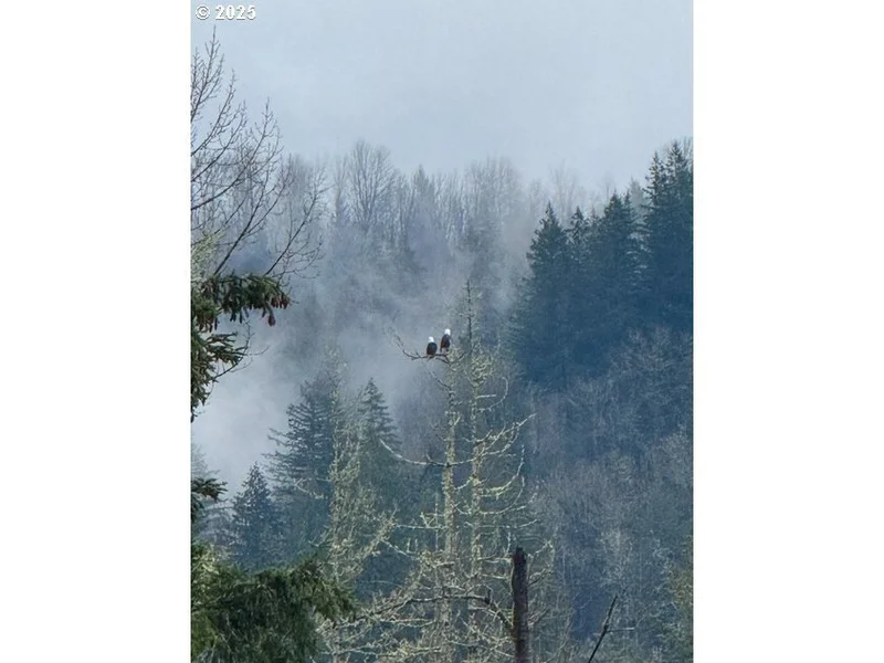 00 Thompson DR #Lot #3, Washougal, WA 98671, Washougal, Washington, United States. - Photo 48