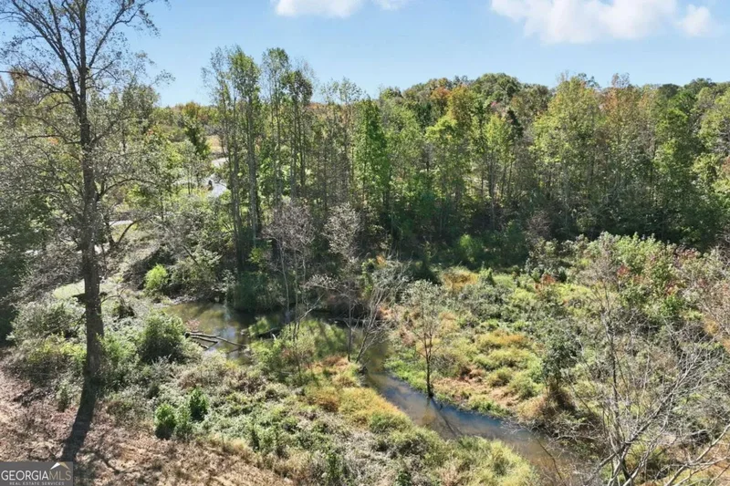 Clermont, Georgia, United States. - Photo 47