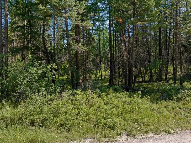 445 Buffalo Trail, Somers, Montana, United States. - Photo 20