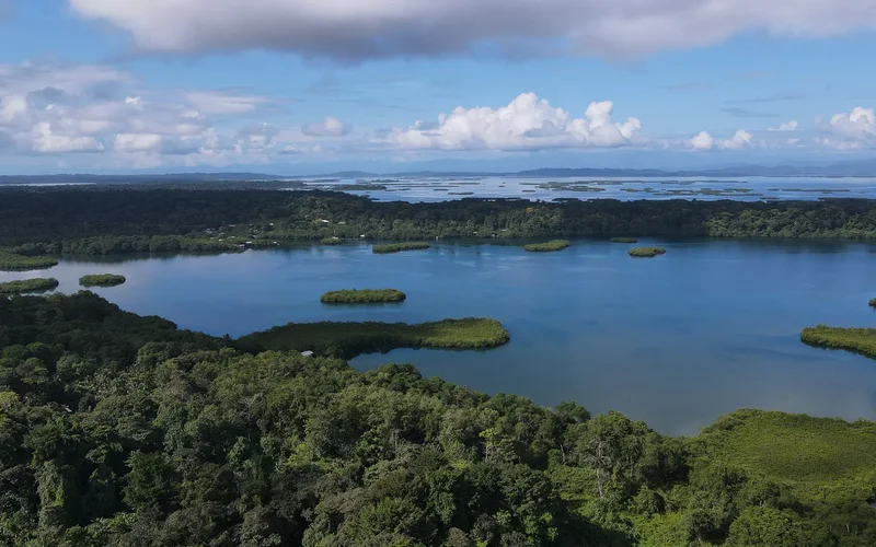 Bahía Honda, Bastimento, Provincia de Bocas del Toro, Panama, Bastimentos Island, Bocas del Toro Province, Panama. - Photo 23