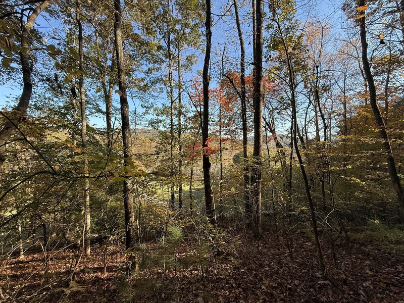 Heritage Mountain Acreage In Beautiful Betty's Creek