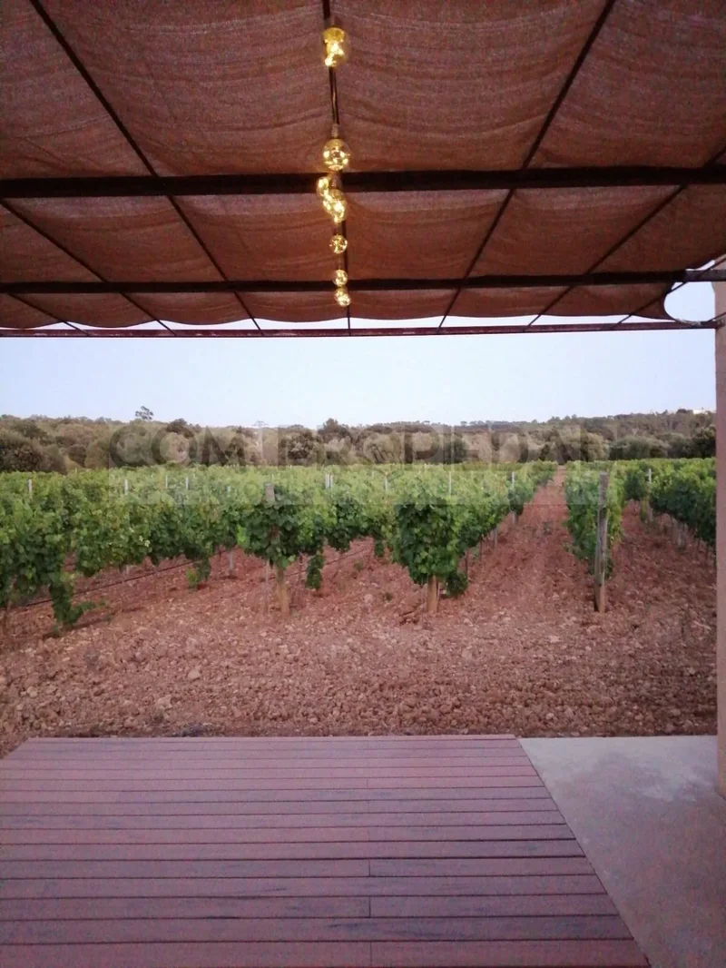 Costitx, Balearic Islands, Spain. - Photo 6