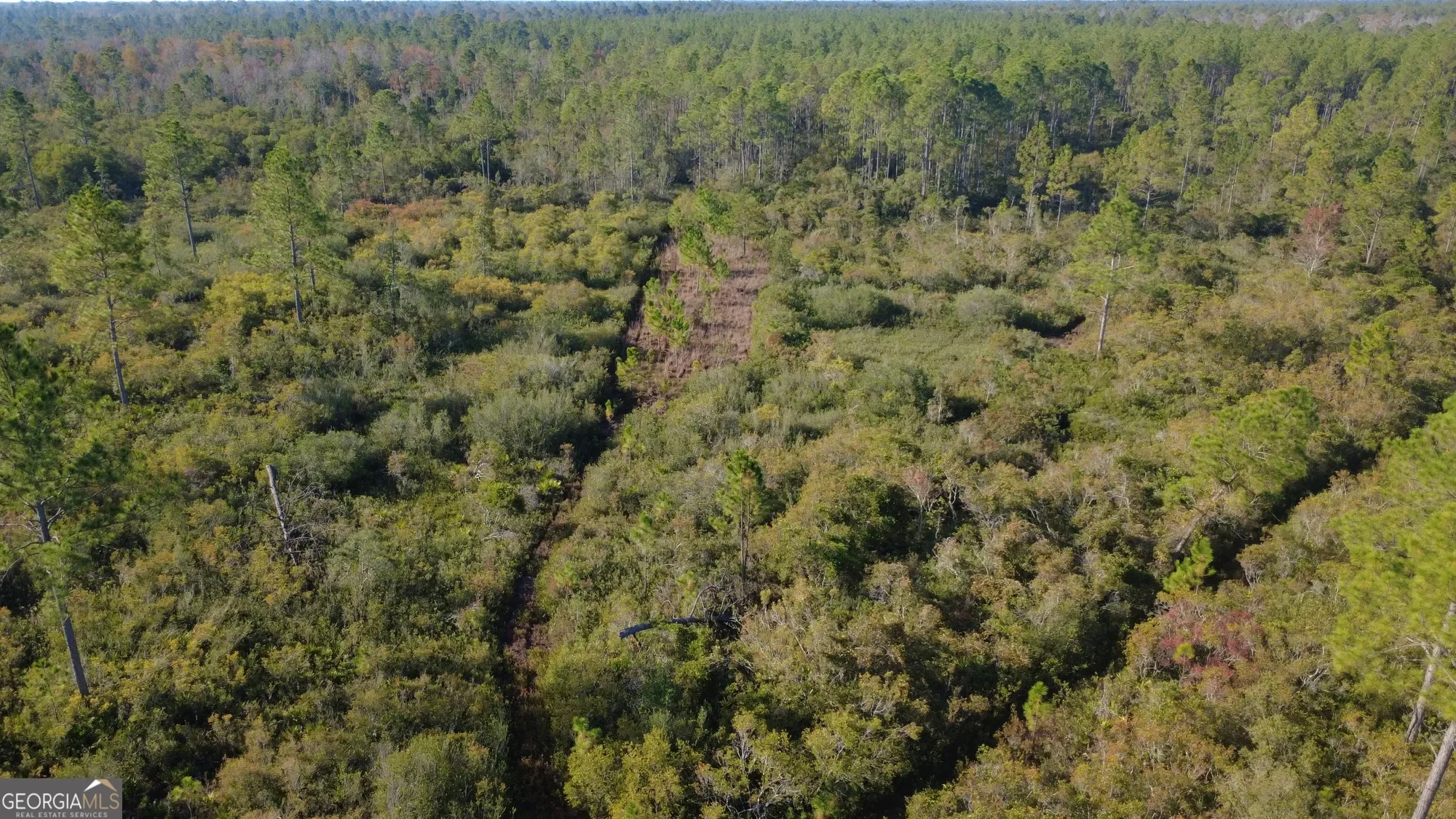0 Fargo Highway, Homerville, GA 31634, Homerville, Georgia, United States. - Photo 12
