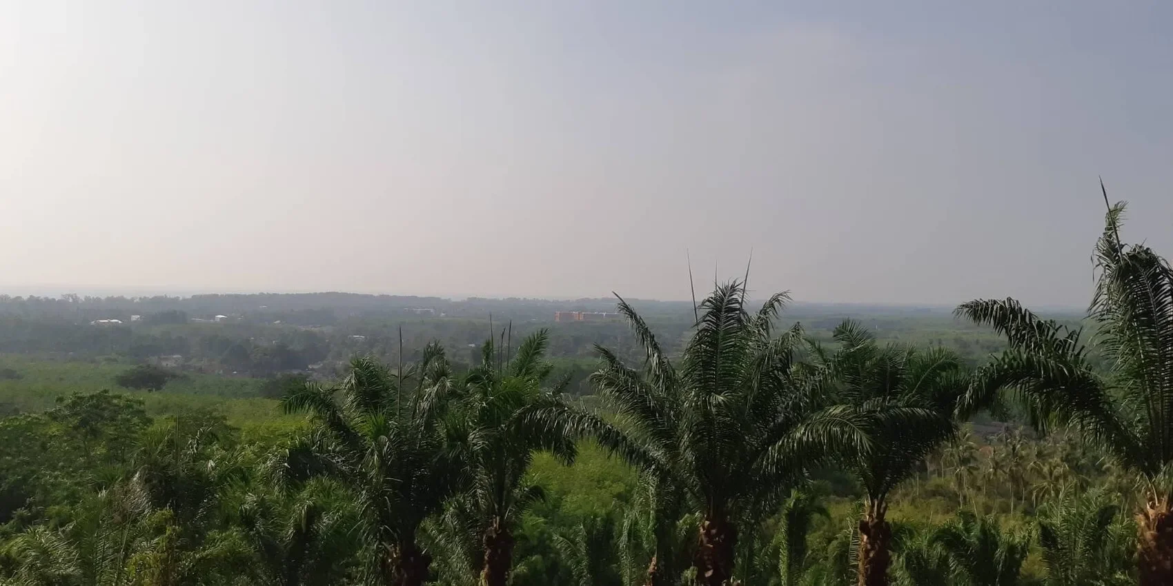 Phuket,, Mai Khao, Phuket, Thailand. - Photo 5