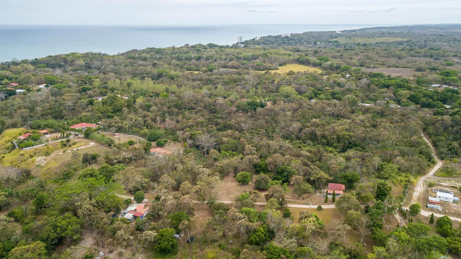 Las Uvas, Panama, Panama. - Photo 10
