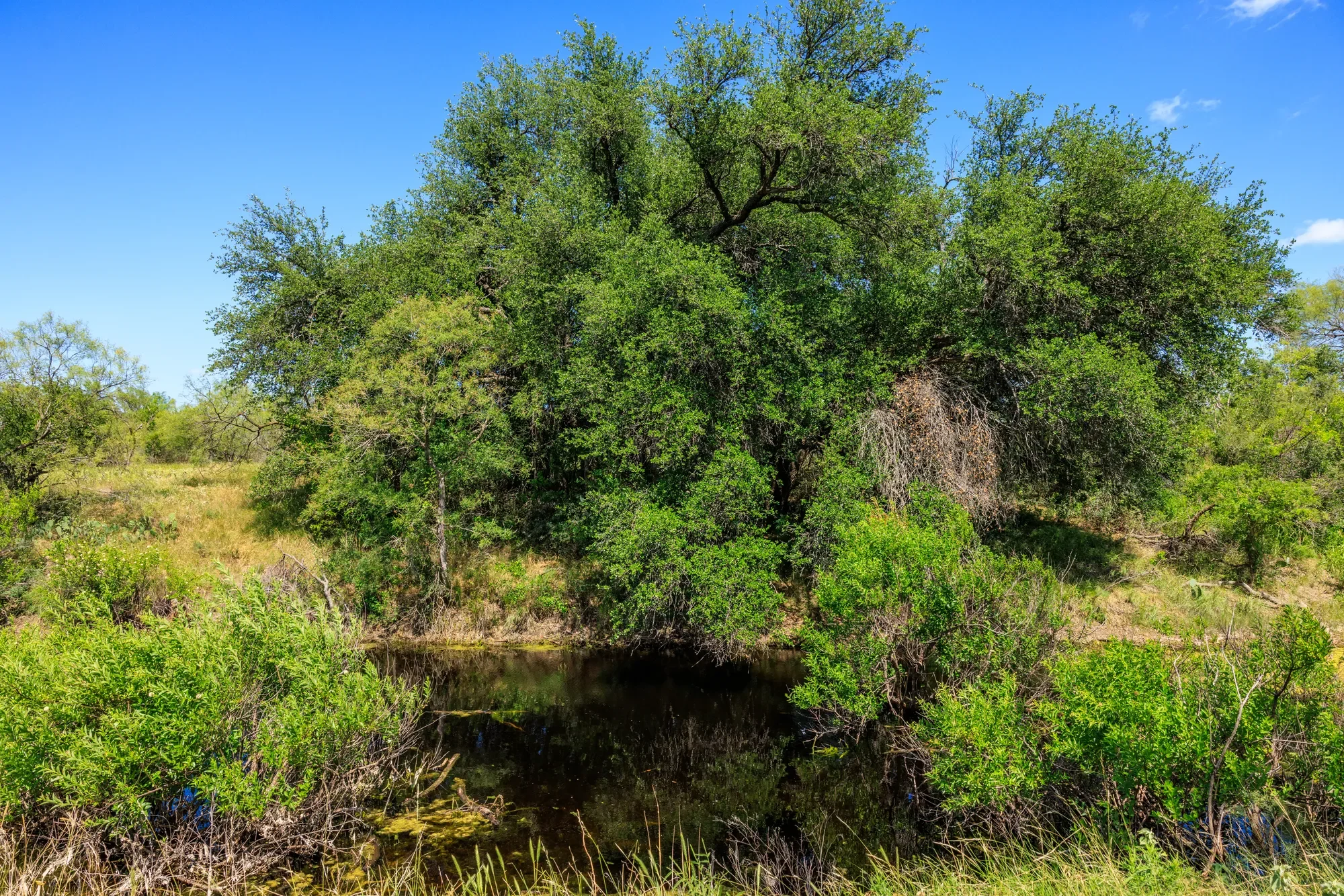 Brady Creek Ranch CR 3388, Melvin, TX 76858, Melvin, Texas, United States. - Photo 12