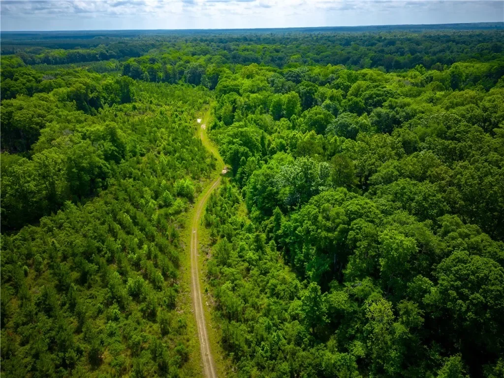 0 East River Road, Other, GA 31544, Jacksonville, Georgia, United States. - Photo 16