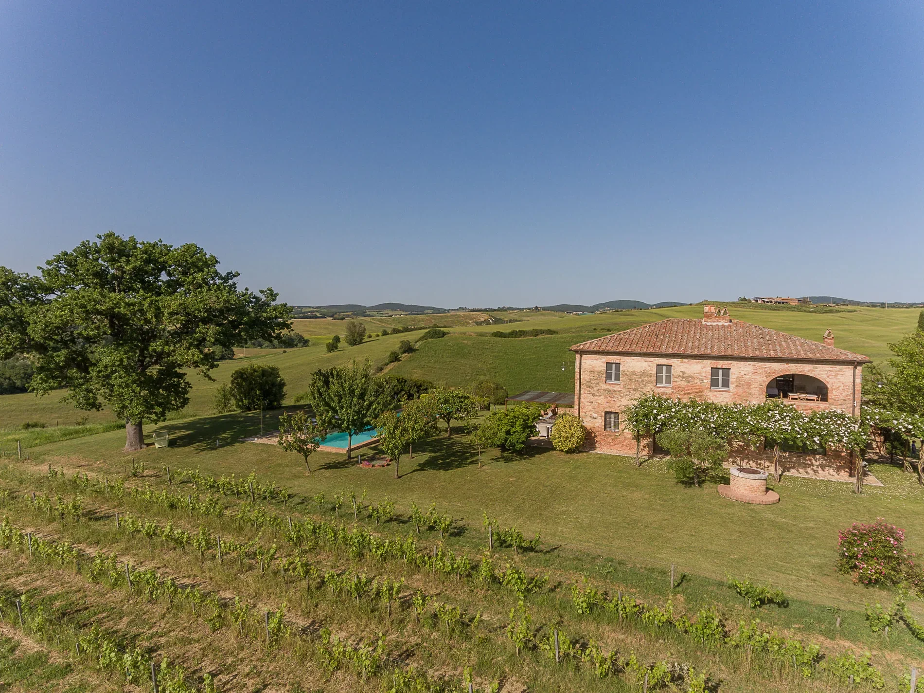 53024 Montalcino, Province of Siena, Italy, Castelnuovo dell’Abate, Tuscany, Italy. - Photo 56