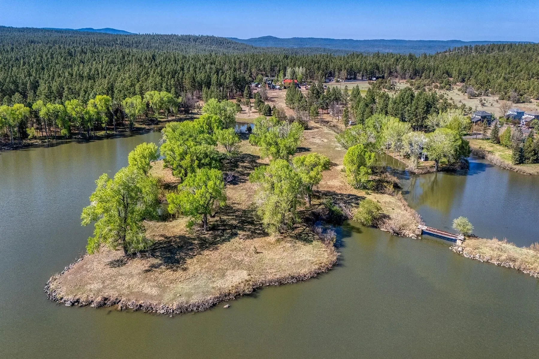XXXX Larson Road , Pinetop-Lakeside, AZ 85259, Pinetop-Lakeside, Arizona, United States. - Photo 5