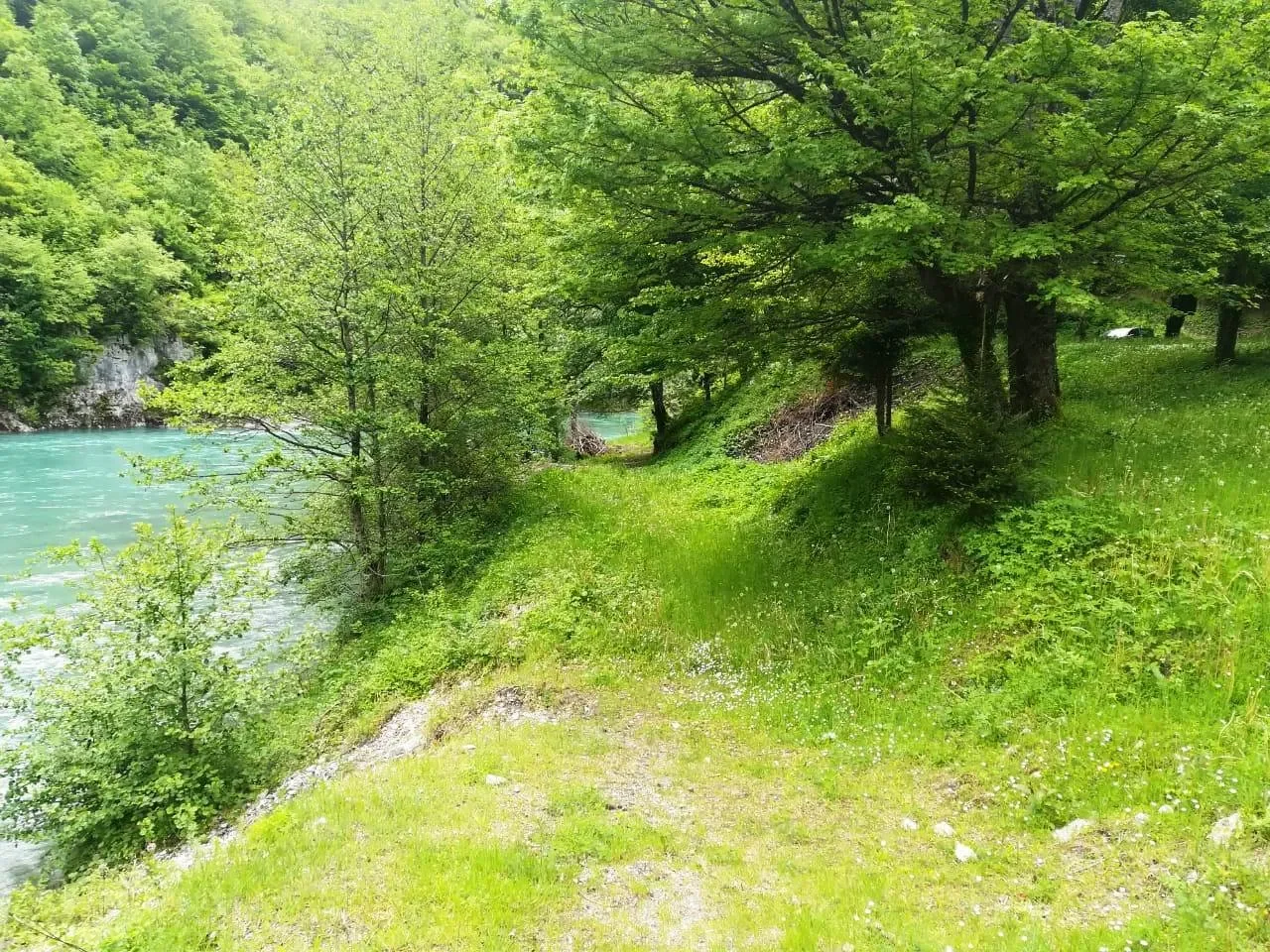 Montenegro, Kolasin, Kolašin Municipality, Montenegro. - Photo 2