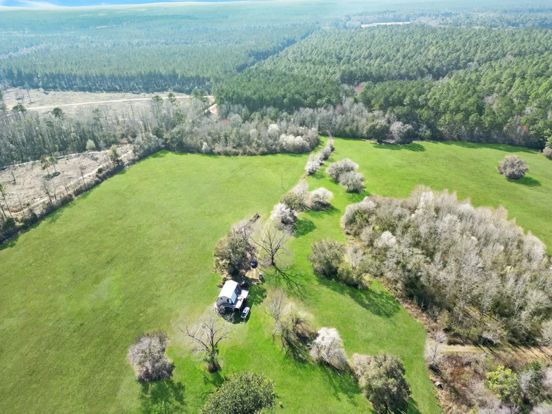 4343 East Plympton Road , Laurel Hill, FL 32567, Laurel Hill, Florida, United States. - Photo 46