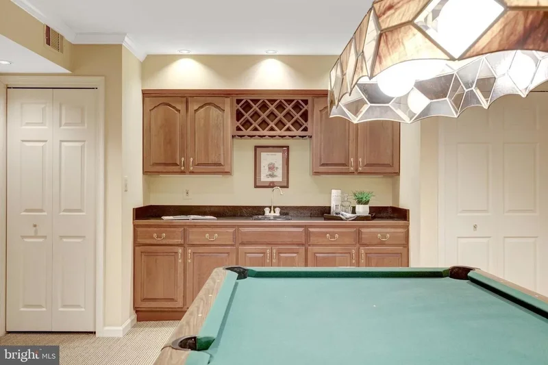 10100 WALKER LAKE DR, GREAT FALLS, VA, 22066, USA, Great Falls, Virginia, United States. - Photo 55