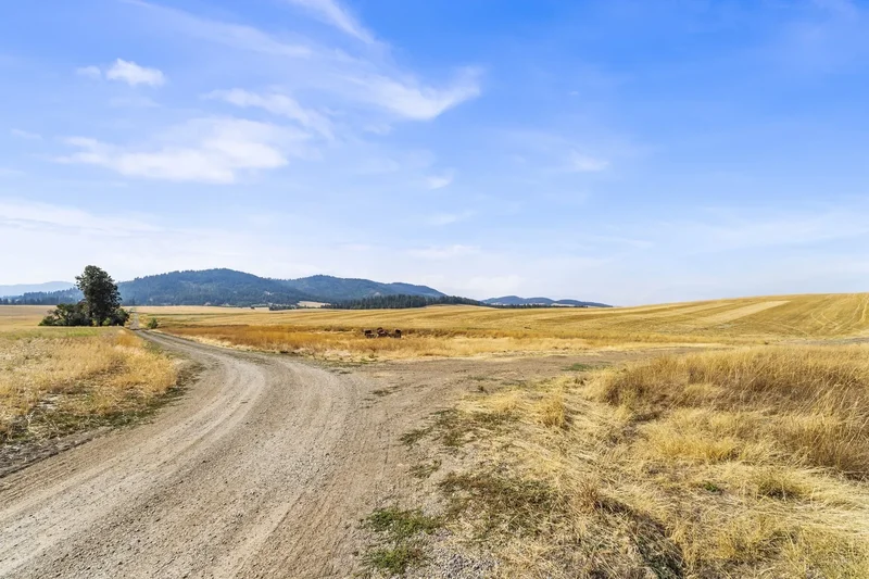 8597 W Rolling Hills Road, Worley, ID 83876, Worley, Idaho, United States. - Photo 10